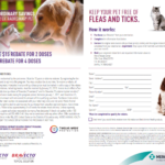 Bravecto Rebate Rainier Veterinary Hospital In Seattle WA