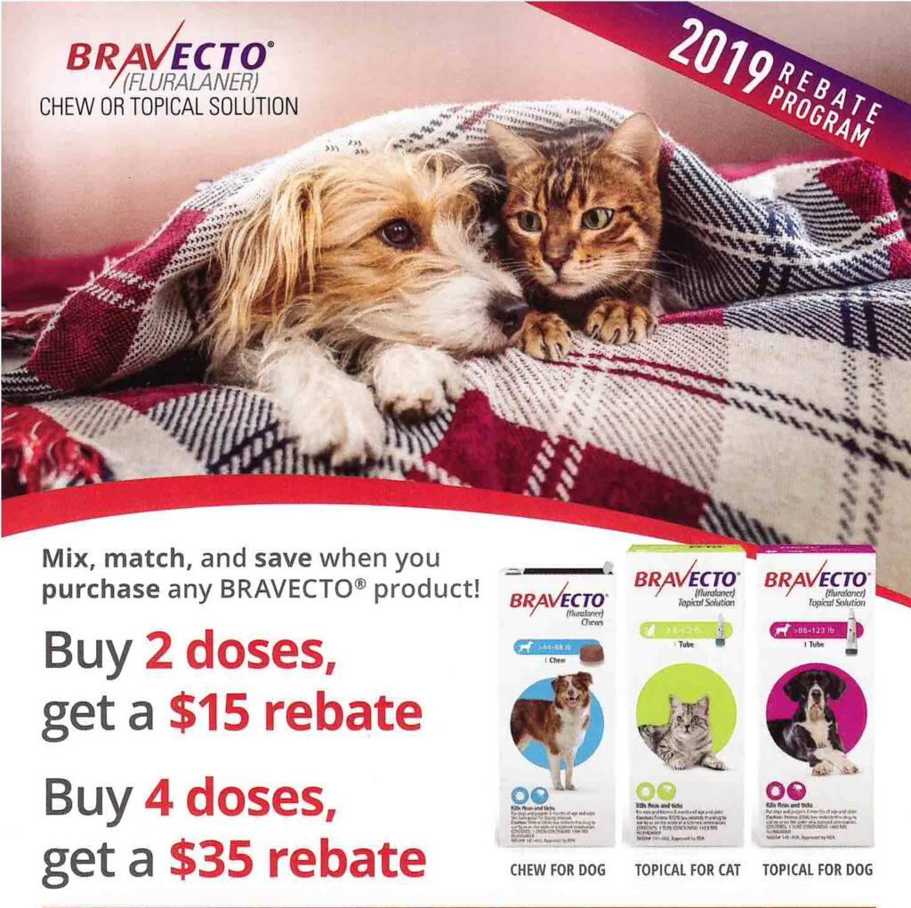 Bravecto Rebates Bayside Animal Medical Center