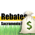 CASH FOR GRASS Sacramento Artificial Grass Rebates Are Back 2021