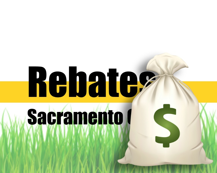 CASH FOR GRASS Sacramento Artificial Grass Rebates Are Back 2021 