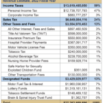 Georgia Revenue Primer For State Fiscal Year 2022 Georgia Budget And