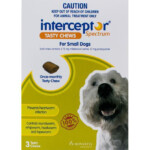 Interceptor Dogs 9 24lbs 4 11 Kg 3 Chewables Discount Flea Tick