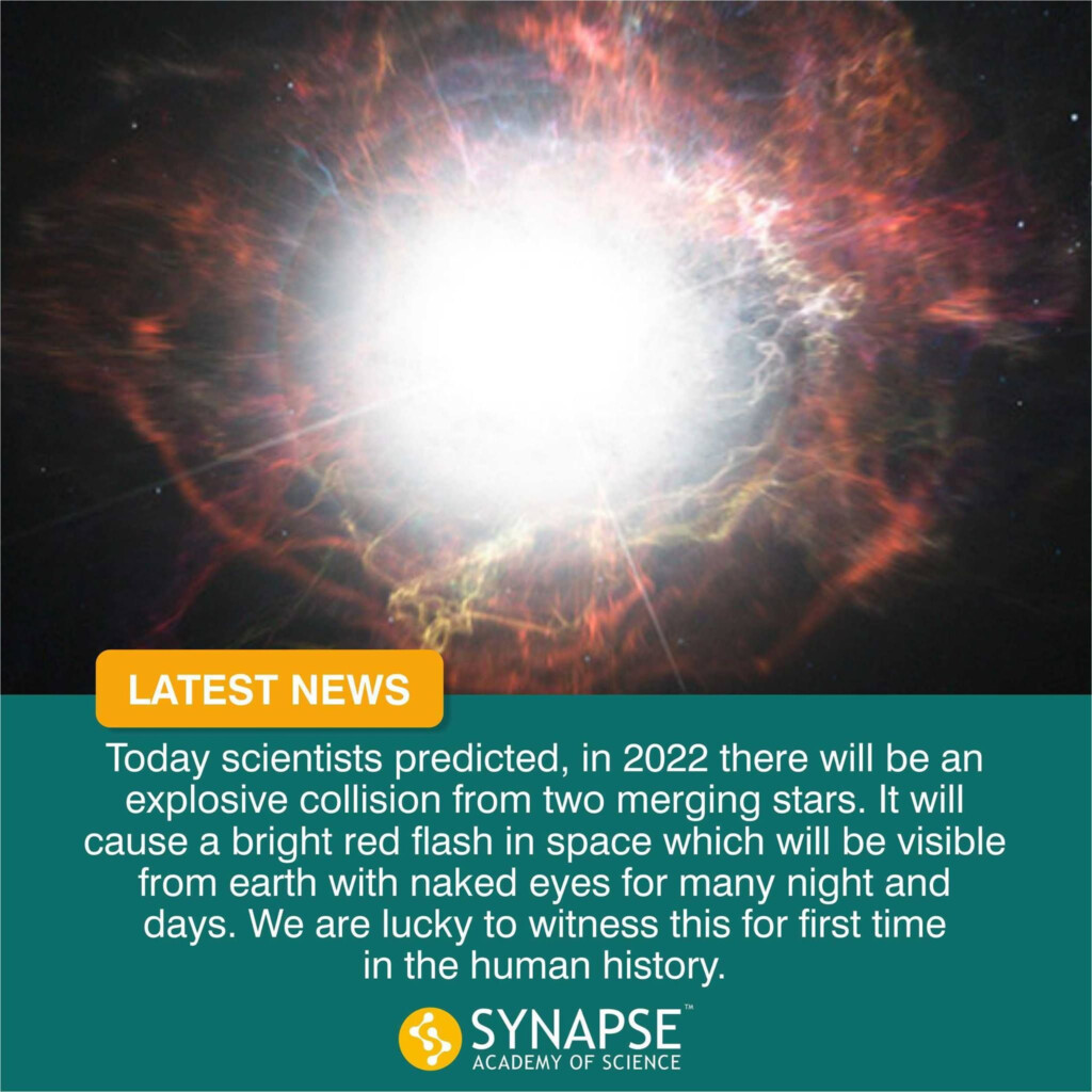  Latestnews Today Scientists Predicted In 2024 There Will Be An 