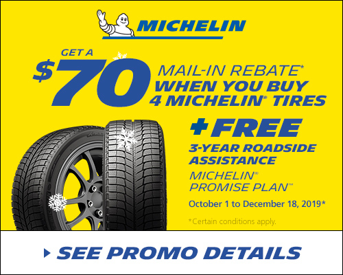 Michelin Fall Rebate ITAN