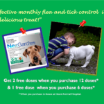 Pet Care Promotions Island Animal Hospital