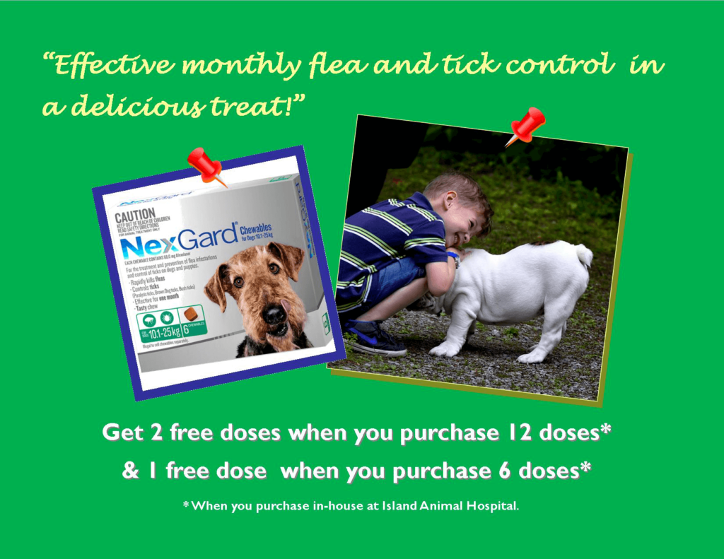 Pet Care Promotions Island Animal Hospital