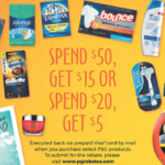 Proctor And Gamble Summer Rebate Savings Beagle