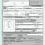 United States Passport Renewal Forms Form Resume Examples 0g273BQ2Pr