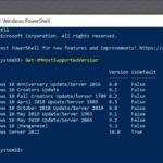 Windows Server 2022 Archives InfoTech News