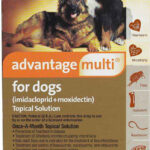 Advantage Multi Heartworms Fleas Worms Mange Free Shipping