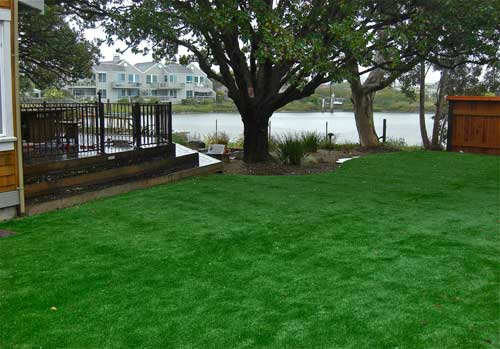 Artificial Grass Rebate Magic NewGrass Has The Answer 