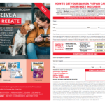 Boehringer Ingelheim Rebates Printable Rebate Form