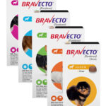 Bravecto And Sentinel Instant Rebates Veterinary Village