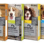 Bravecto And Sentinel Instant Rebates Veterinary Village