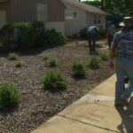 California Drought Rebates For Ripping Up Lawns CNN