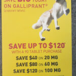 Coupons Promotions High Point NC Veterinarian