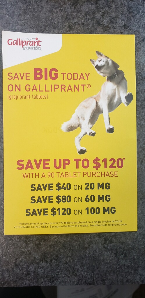 Coupons Promotions High Point NC Veterinarian