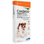 Credelio Para Perros De 5 5 11kg Perros Y Gatos