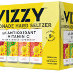 Free Vizzy Hard Seltzer 12 Pack After Rebate Free Product Samples