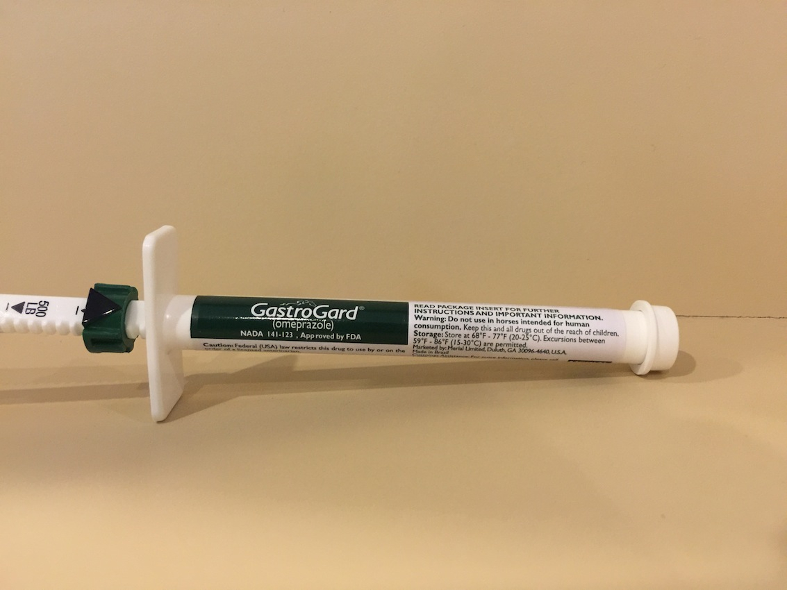 GastroGard 2 28 G lb 6 15 G Tube Ferguson And Associates Equine Hospital