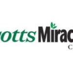 Scotts Miracle Gro 2ndVote