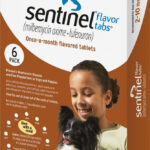 Sentinel Heartworm Prevention 2 10lbs Complete Pet Care Animal Hospital