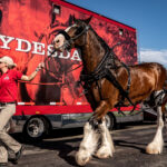 Warm Springs Ranch Visit The Home Of The Budweiser Clydesdales