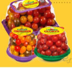 2 FREEBATE Packs Of NatureSweet Tomatoes Mail In Rebate Required