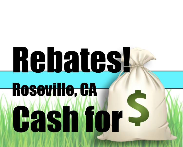 ARTIFICIAL TURF GRASS REBATES ROSEVILLE CA 2021 Artificial Grass Installer TuFFGrass