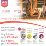 Bravecto Rebates Bayside Animal Medical Center