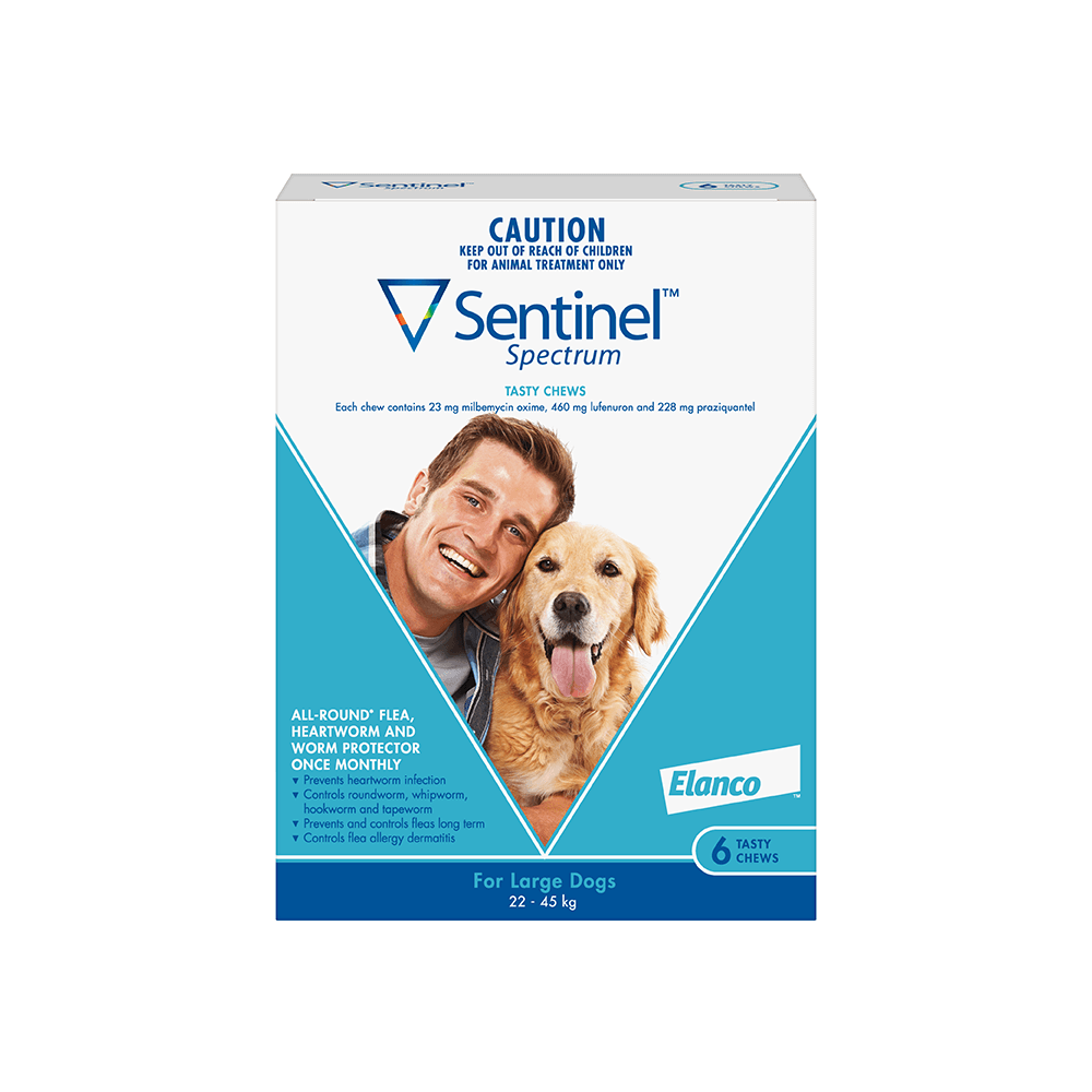 Buy Sentinel Spectrum Chews Large Blue Online Better Prices At Pet Circle