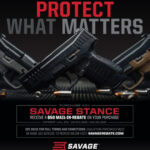 DEC Savage Stance Rebate Gun Rebates