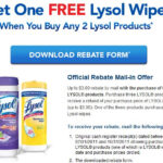 Lysol Rebate A Thrifty Mom Recipes Crafts DIY And More