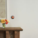 Nest Thermostat 50 Rebate For Xcel Energy Customers Thrifty Minnesota