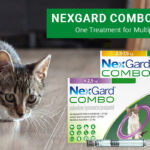 NexGard Combo Spot On For Cats Archives BudgetVetCare Blog