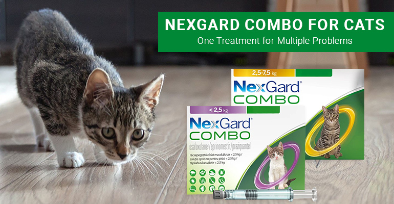 NexGard Combo Spot On For Cats Archives BudgetVetCare Blog