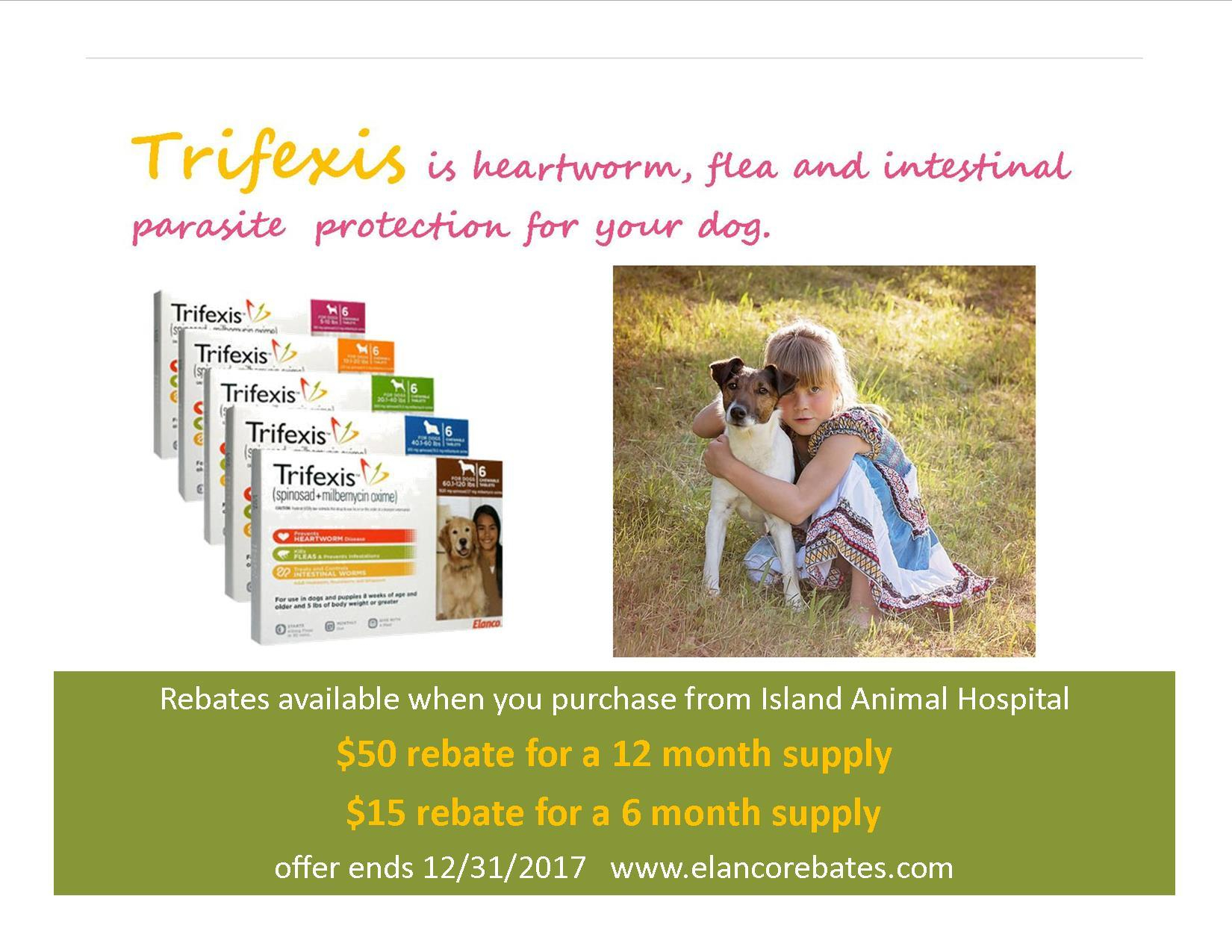 Pet Care Promotions Island Animal Hospital