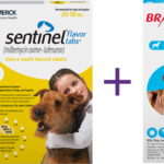 SENTINEL Rebates SENTINEL Brand Products For Dogs Sentinelpet