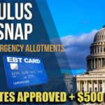 STIMULUS CHECKS SNAP MAX BENEFITS UPDATE MARCH 2022 500 Tax