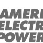 AEP Logo Energy Optimizers USA