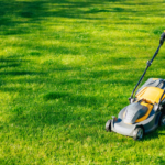 Electric Lawn Mower Rebate Program California Californiarebates