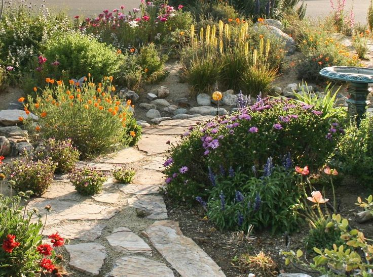 SoCal Water Rebates SoCalWaterSmart Twitter Waterwise Garden 