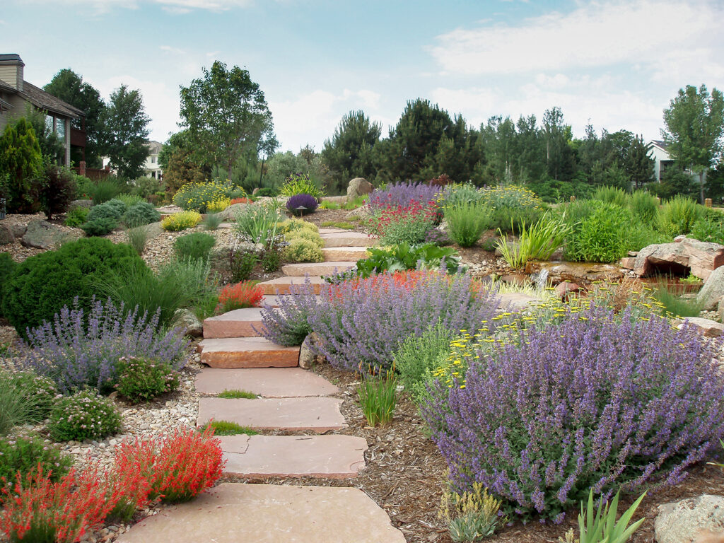 The Beginner s Guide To Xeriscape In Denver 5280