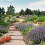 The Beginner s Guide To Xeriscape In Denver 5280